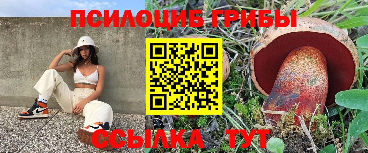 Галлюциногенные грибы мухоморы Тимашёвск