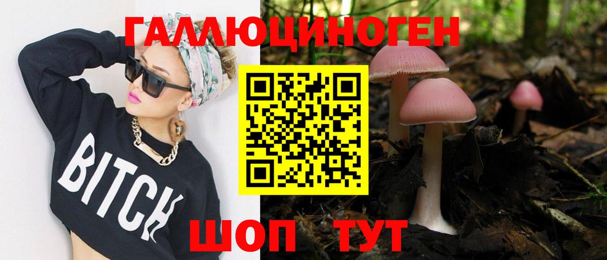 Тимашёвск  Псилоцибиновые грибы Psilocybe  сколько стоит  Вход с VPN 